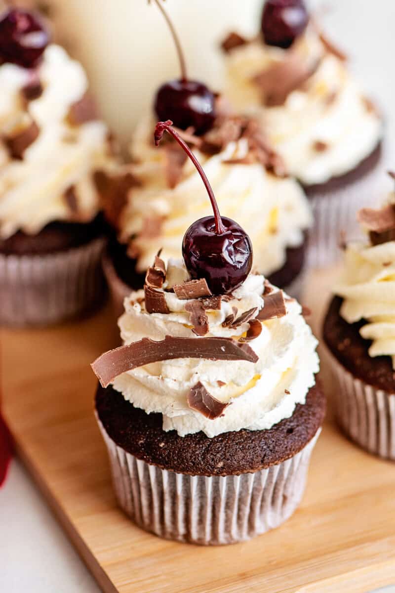 black forest cupcakes with chocolate and cherry