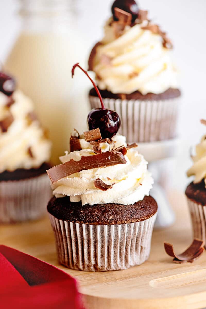 black forest cupcakes with chocolate and cherry