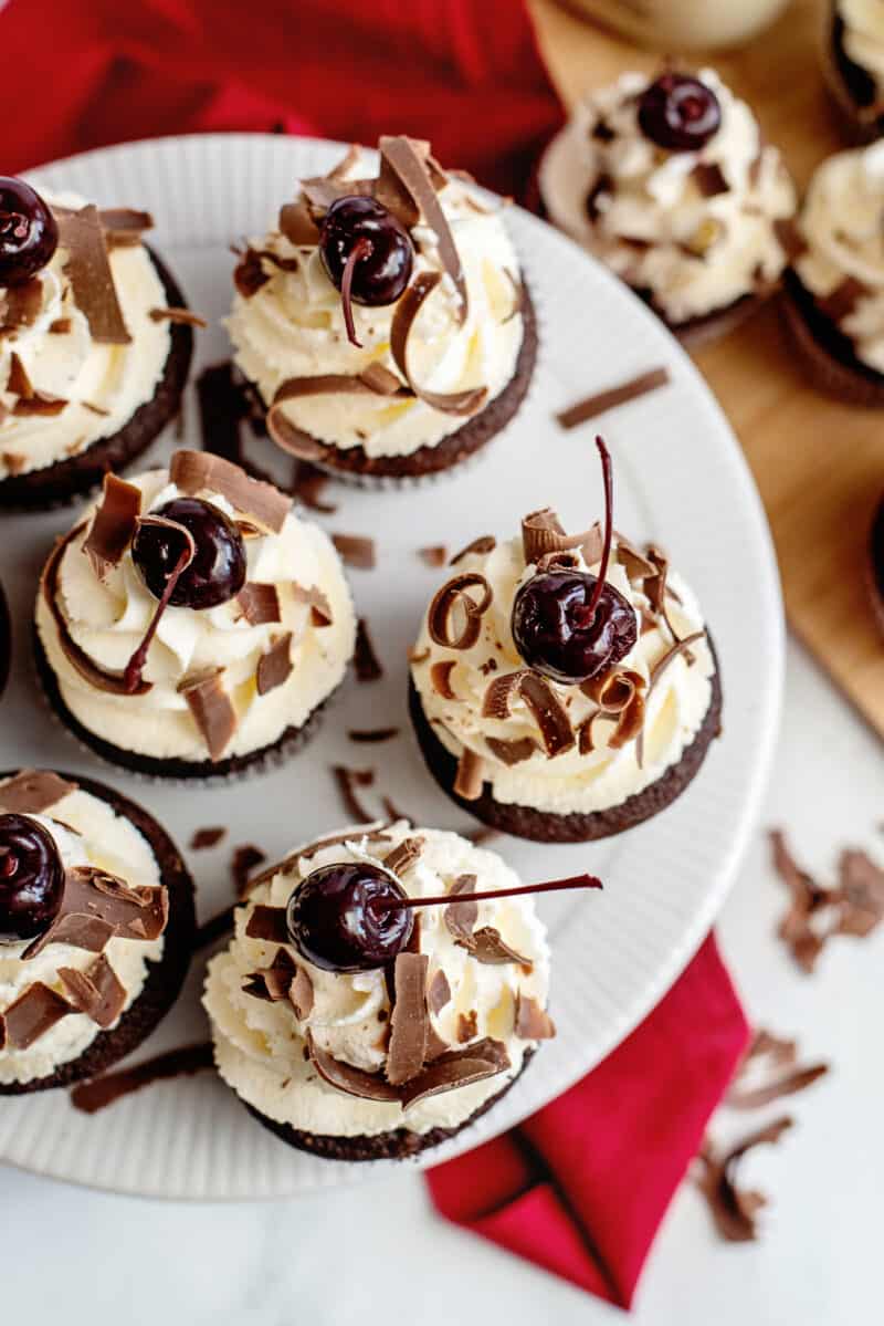 overhead image of black forest cupcakes