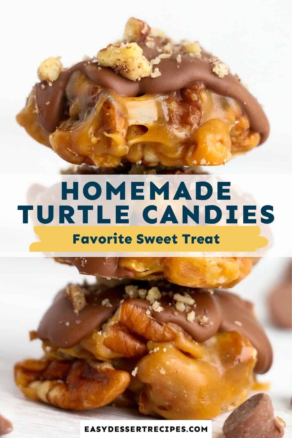 turtle candies pinterest collage