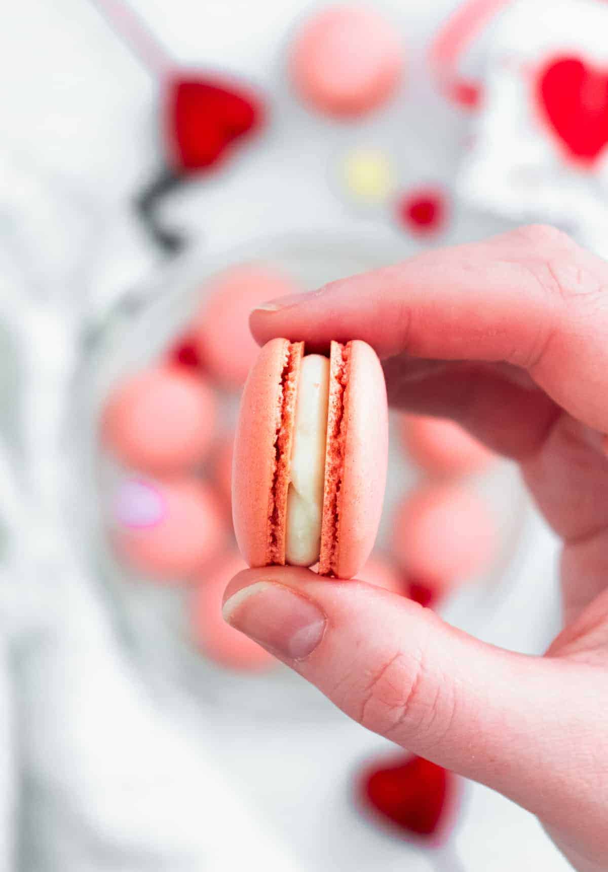 holding pink macaron