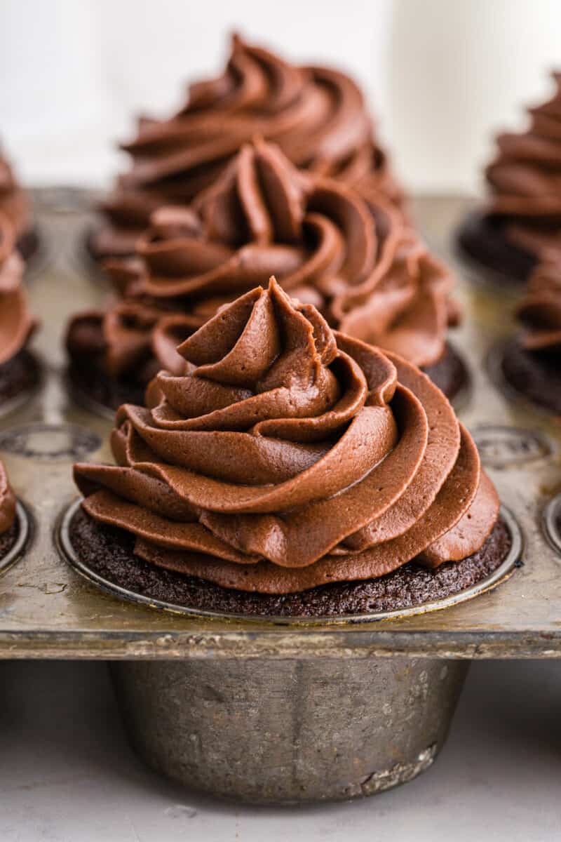 chocolate buttercream frosting on chocolate cupcakes