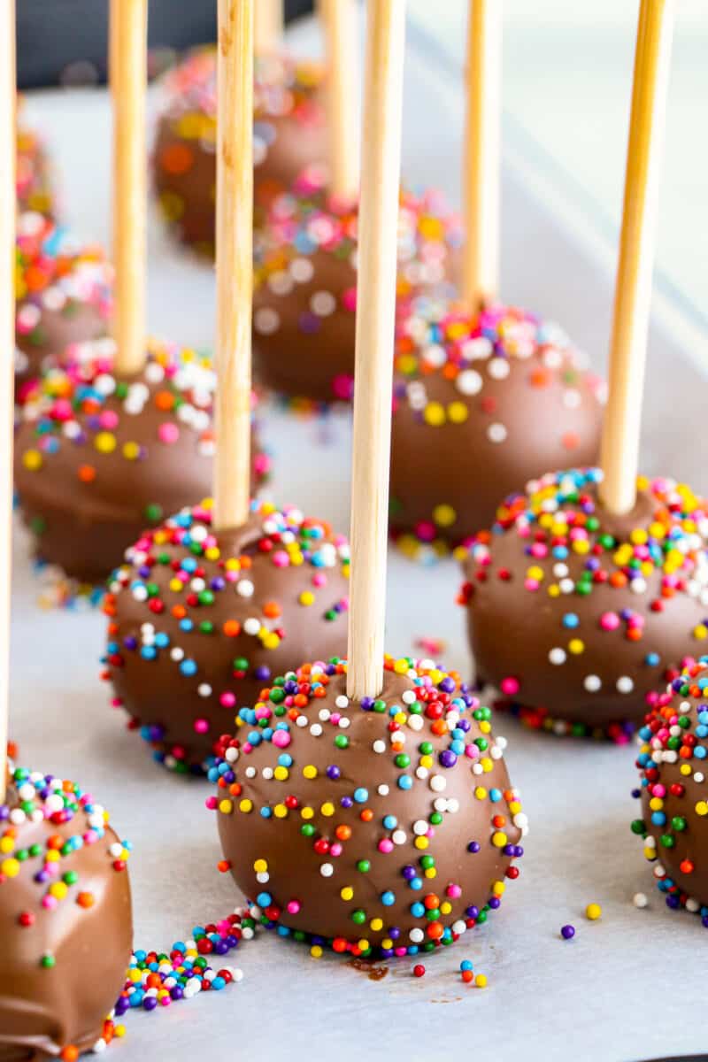 rows of chocolate covered strawberry cake pops