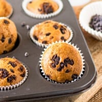 featured chocolate chip muffins