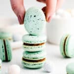 featured robins egg macarons