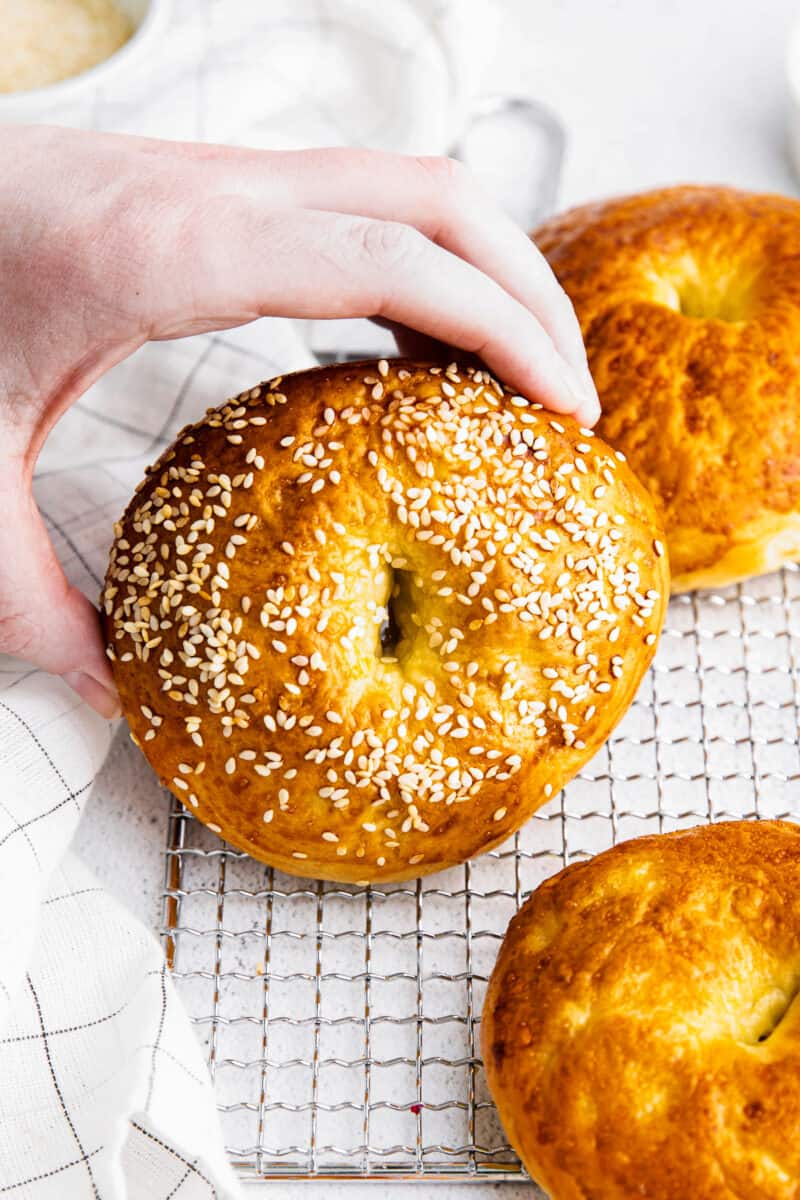 holding up homemade bagel with sesame seeds