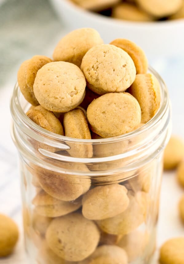 jar of homemade peanut butter dog treat cookies