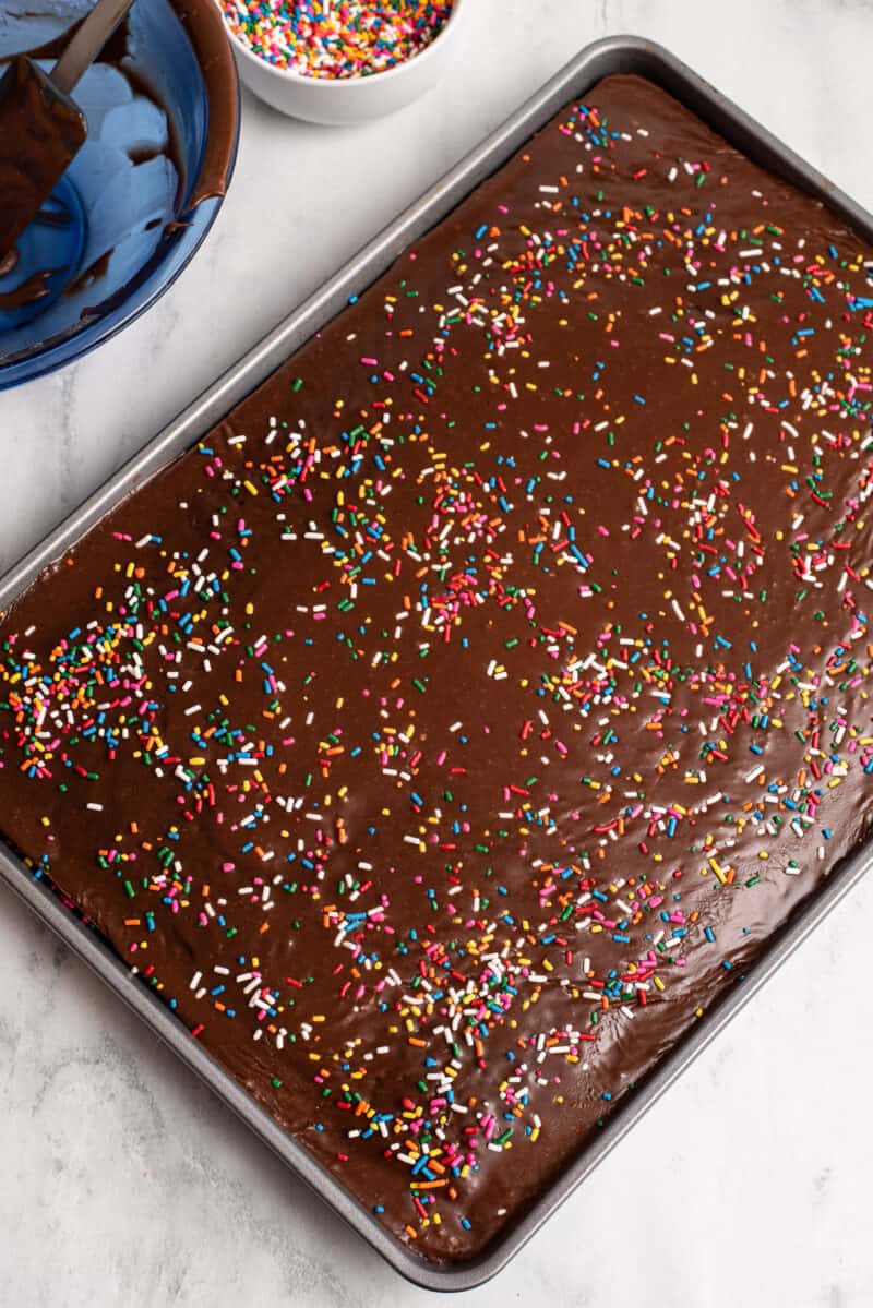 texas sheet cake in sheet pan garnished with sprinkles