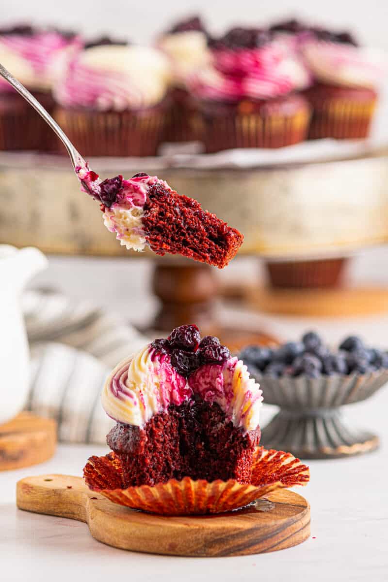taking bite out of red velvet cupcake with blueberry compote