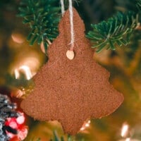 featured cinnamon ornaments