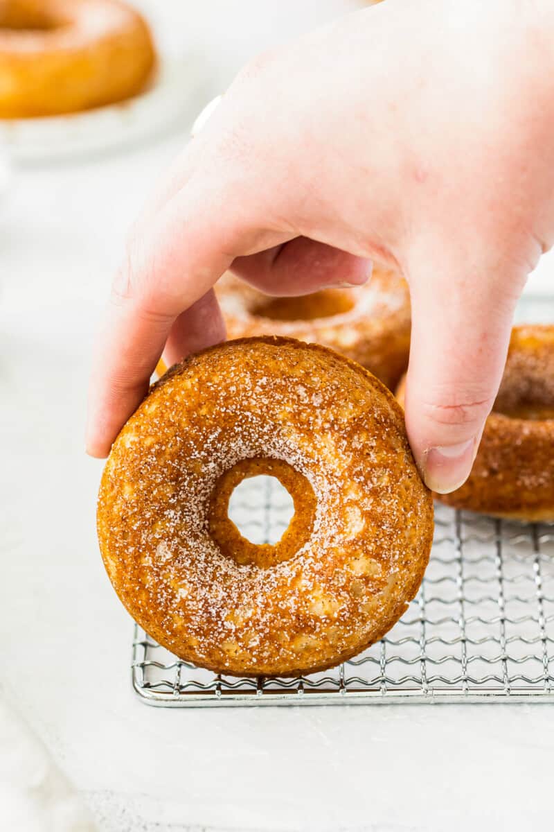 Baked Apple Cider Donuts Recipe Easy Dessert Recipes