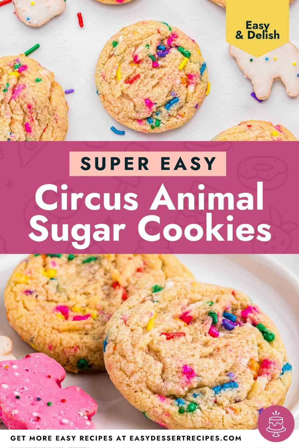 circus animal sugar cookies pinterest