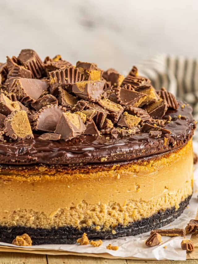 up close peanut butter cup cheesecake with fudge and candy