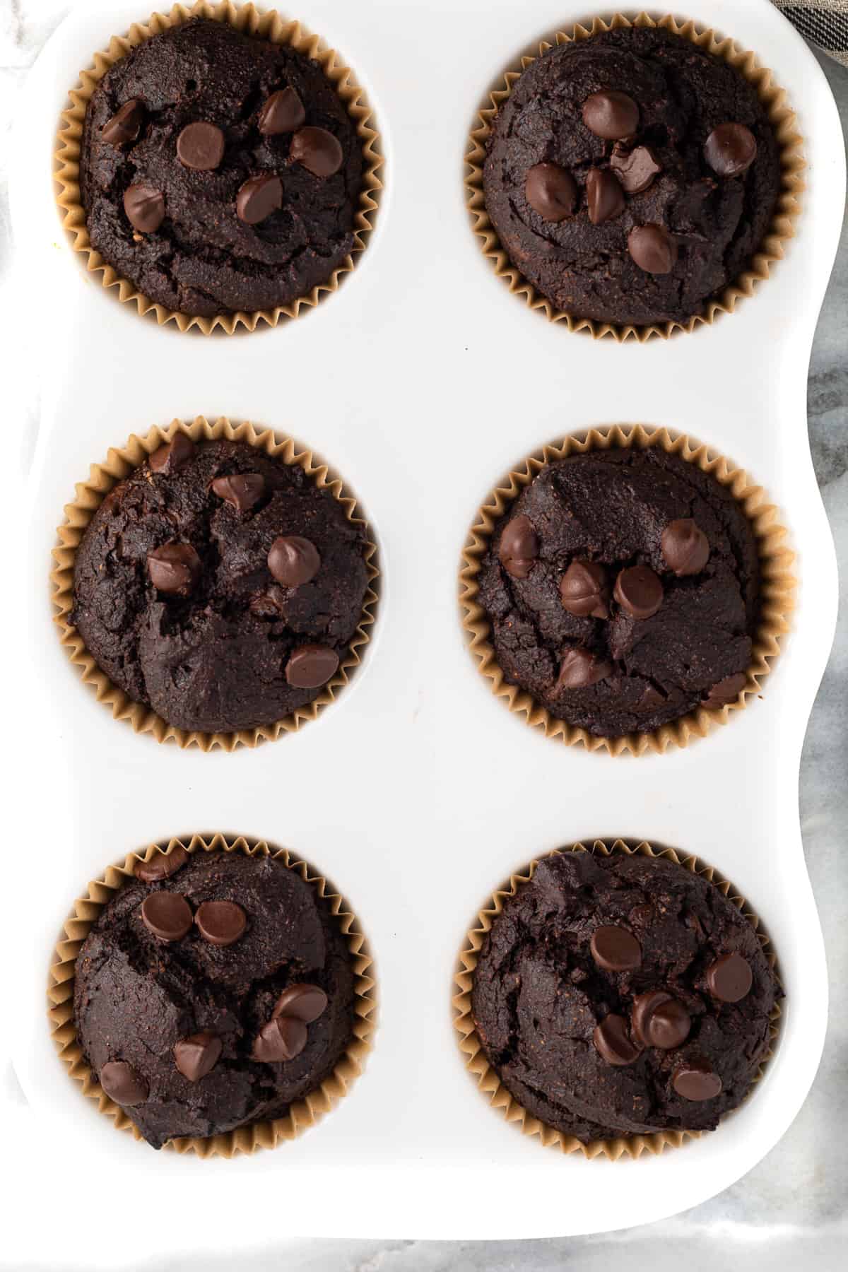 chocolate pumpkin blender muffins in muffin tin