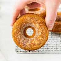 featured apple cider donuts