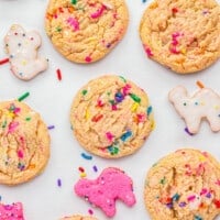 featured circus animal sugar cookies