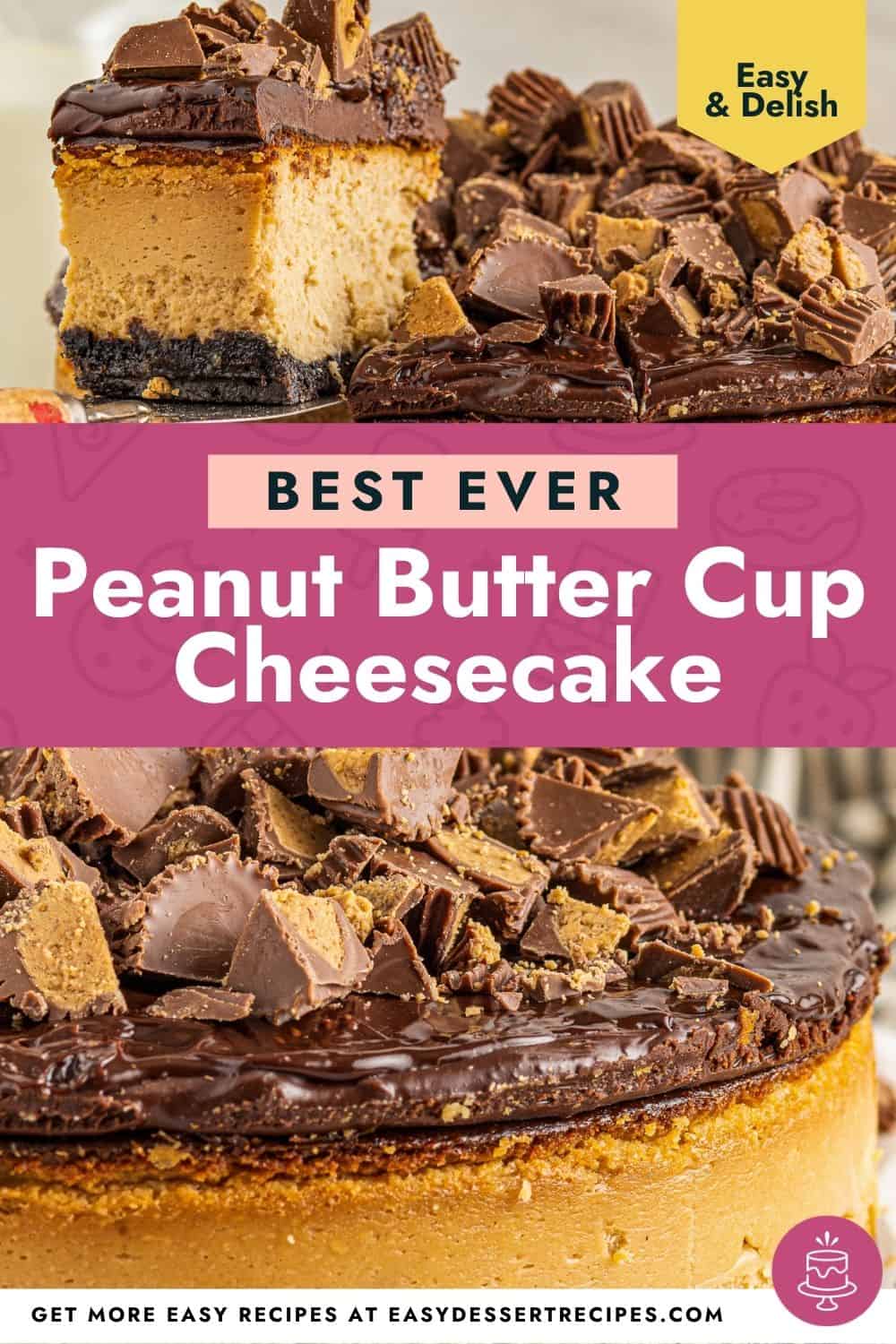 peanut butter cup cheesecake pinterest