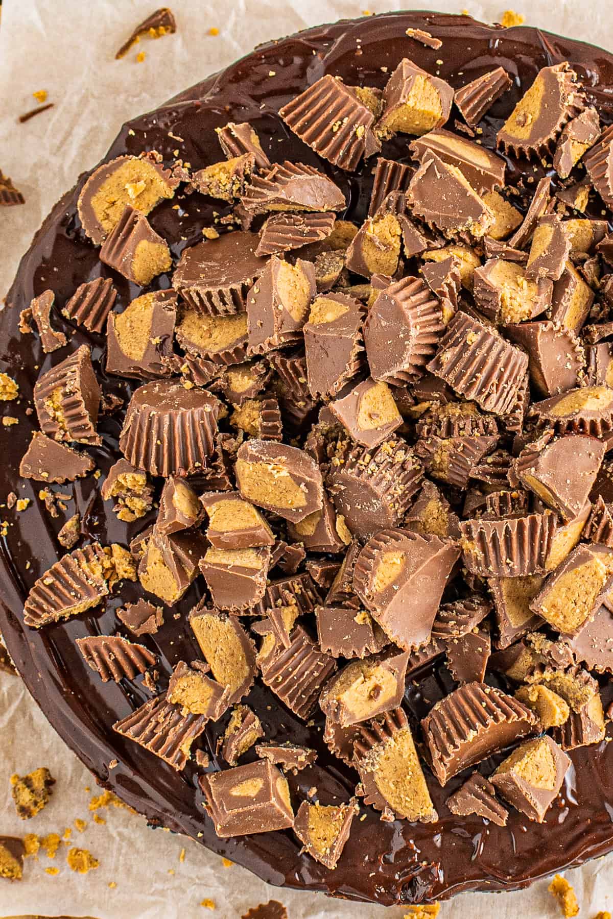 up close overhead peanut butter cup cheesecake