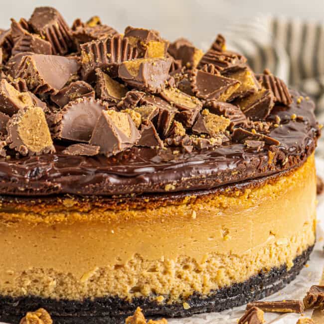 up close peanut butter cup cheesecake with fudge and candy