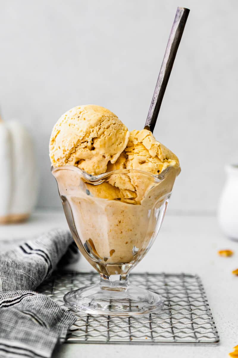 No Churn Pumpkin Pie Ice Cream Recipe - Easy Dessert Recipes