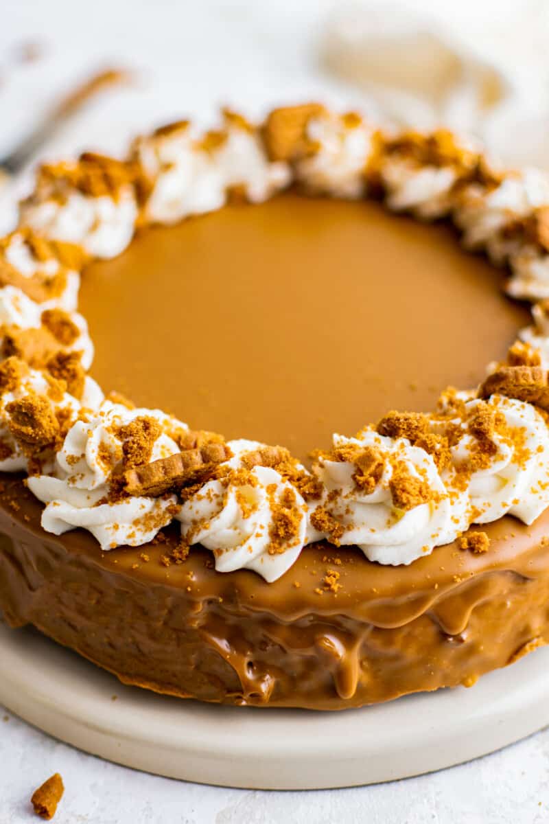 biscoff cheesecake with whipped cream and biscoff cookies