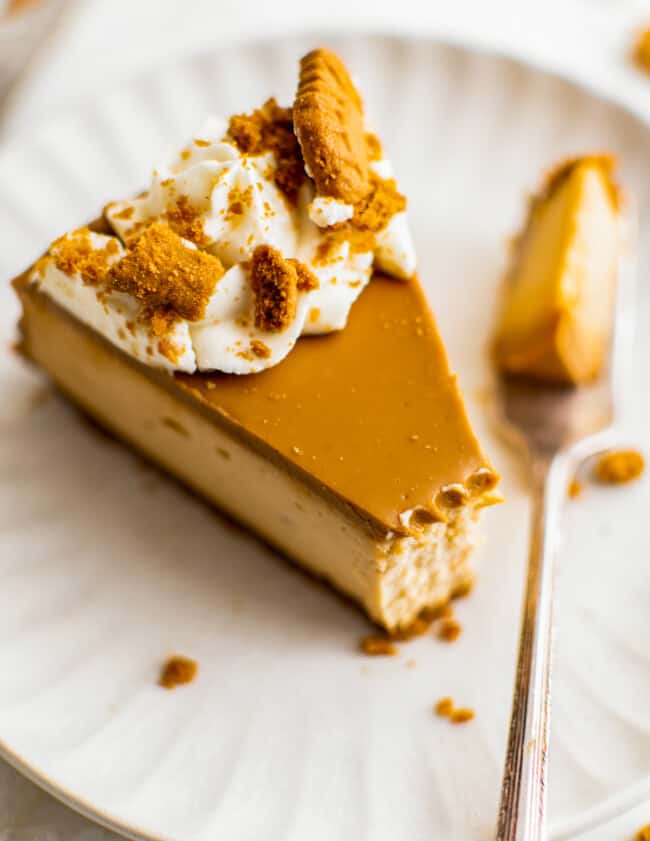 bite out of biscoff cheesecake