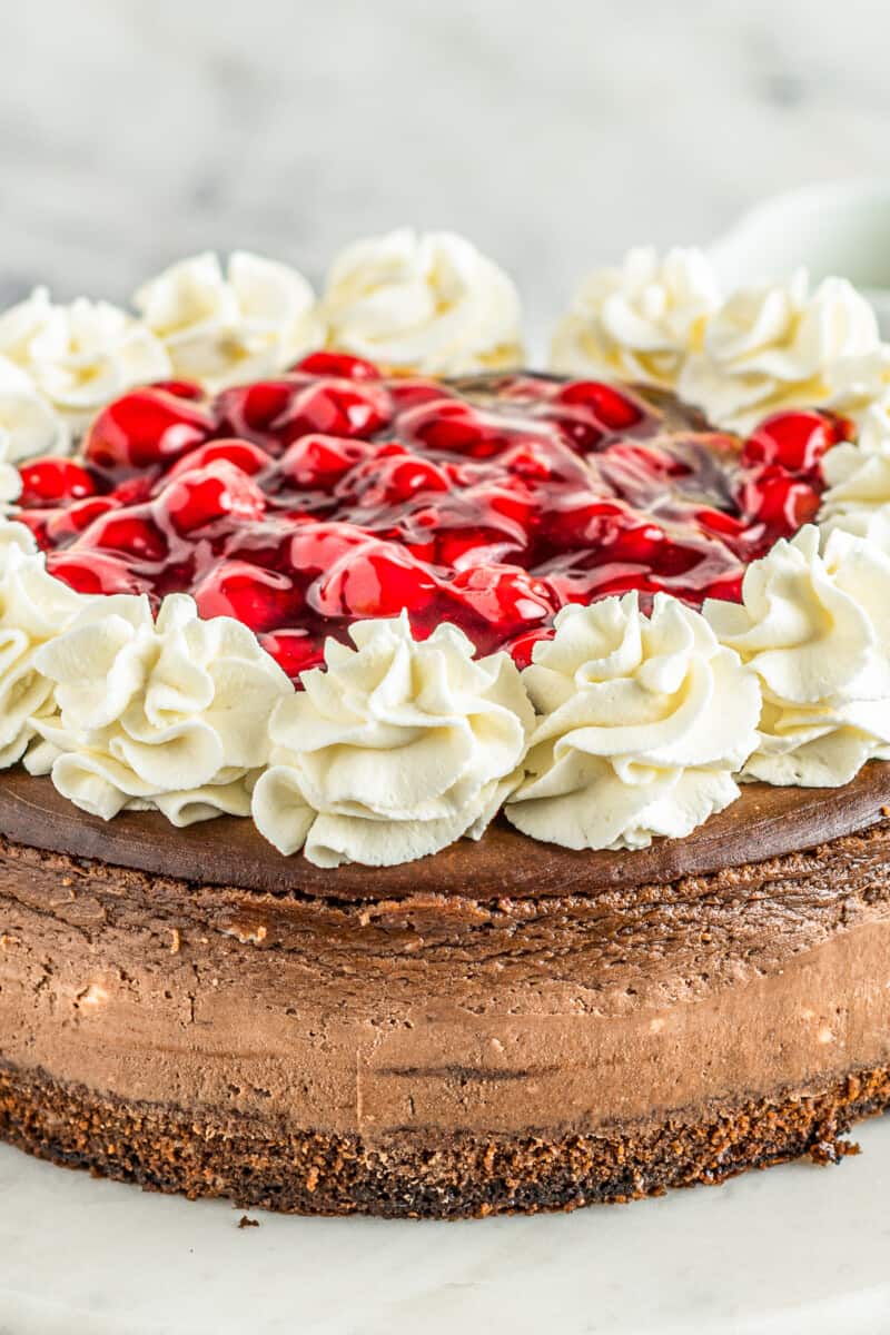 black forest cheesecake on cake stand