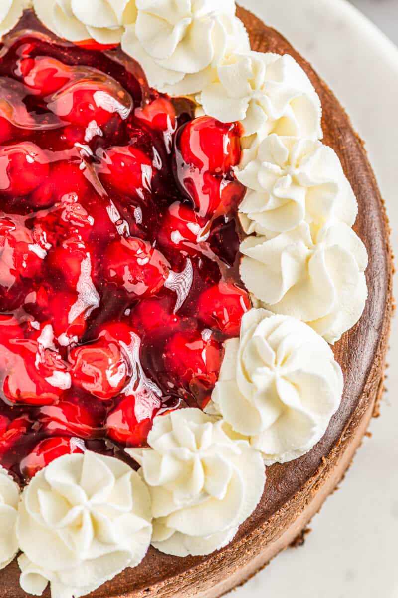 overhead black forest cheesecake on cake stand