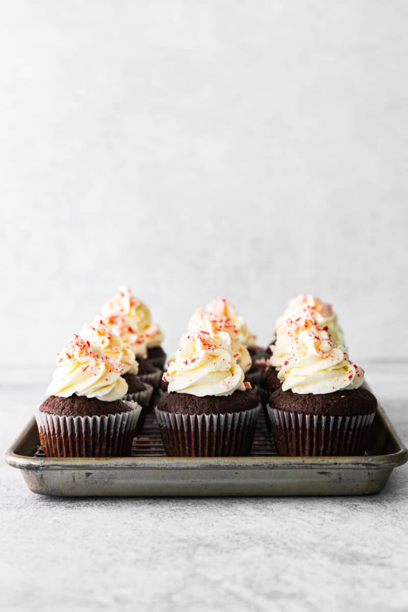 chocolate cupcakes topped with white chocolate buttercream frosting on a baking sheet