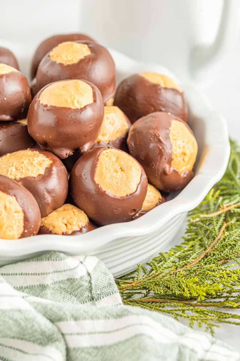 close up of buckeye candies in a white bowl surrounded by a green kitchen towel and an evergreen branch.