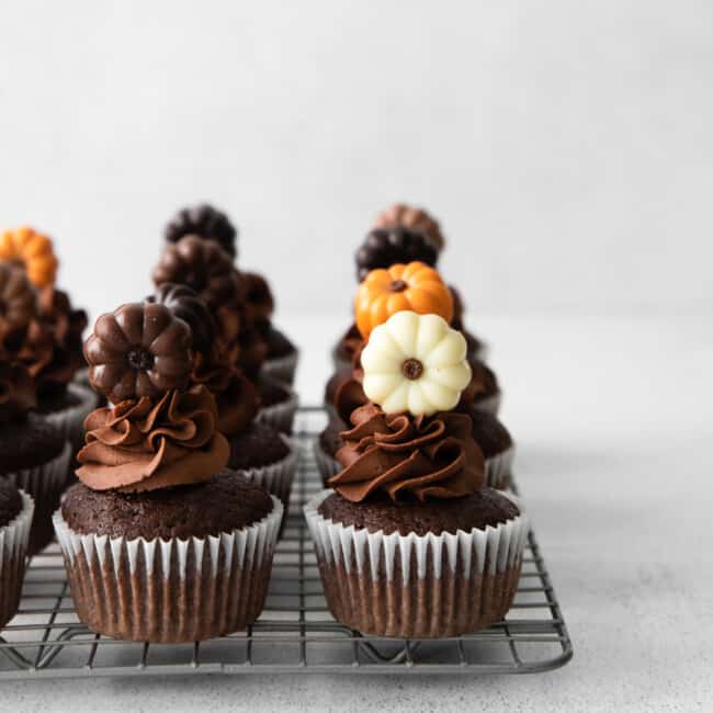 featured chocolate pumpkin cupcakes.