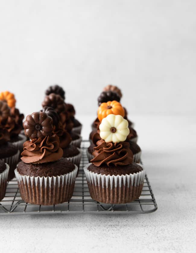 featured chocolate pumpkin cupcakes.