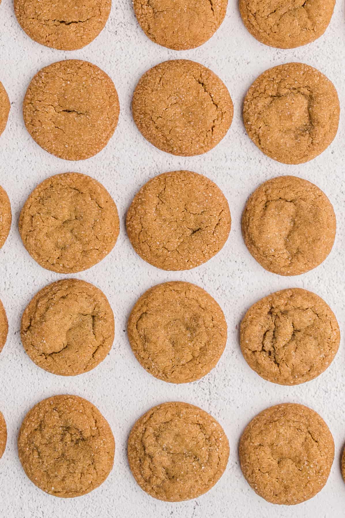 overhead view of ginger molasses cookies on a baking sheet.