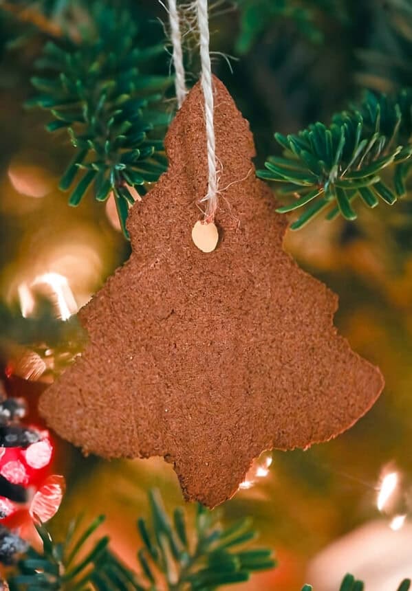 a christmas tree shaped cinnamon ornament hanging from a branch.