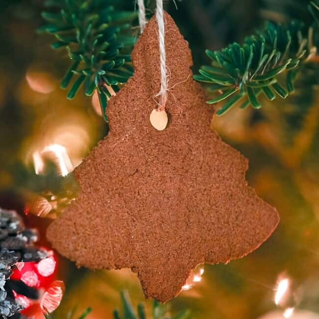 a christmas tree shaped cinnamon ornament hanging from a branch.