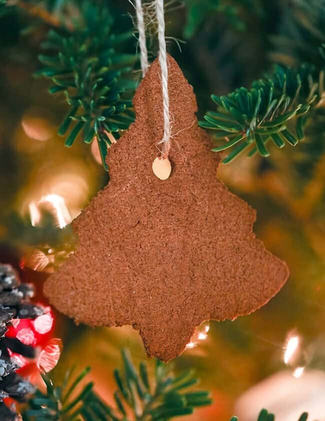 a christmas tree shaped cinnamon ornament hanging from a branch.