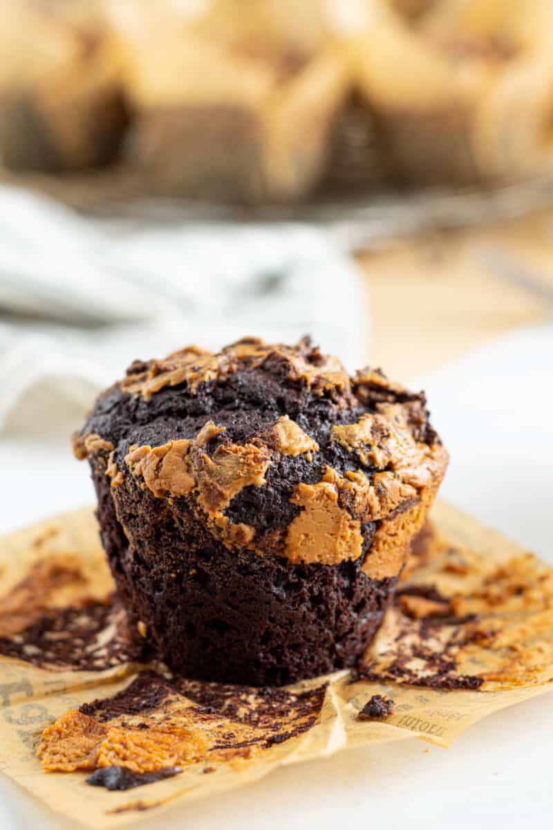 chocolate peanut butter muffin