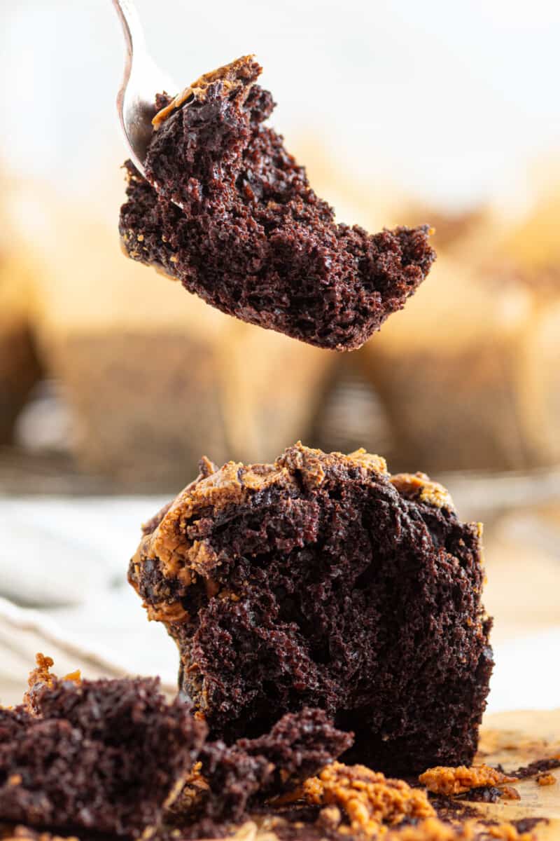 forkful of chocolate peanut butter muffin