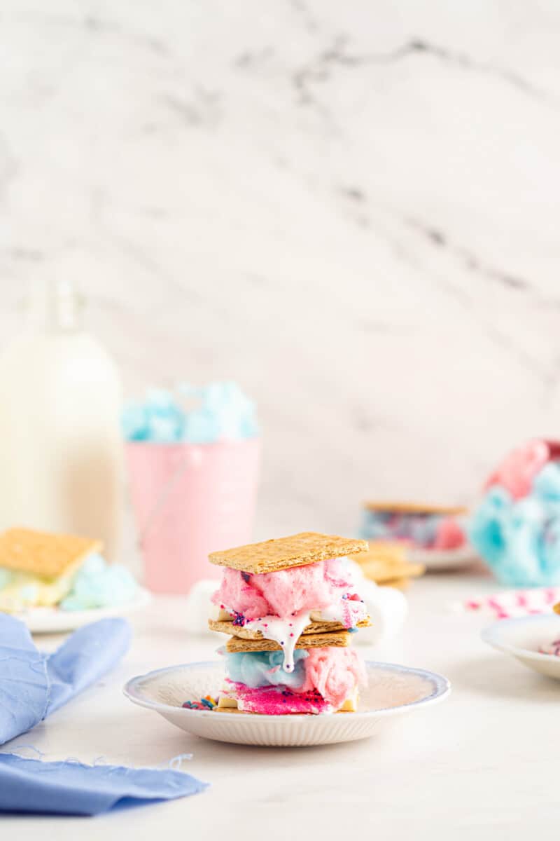 stack of 2 cotton candy s'mores on a white plate