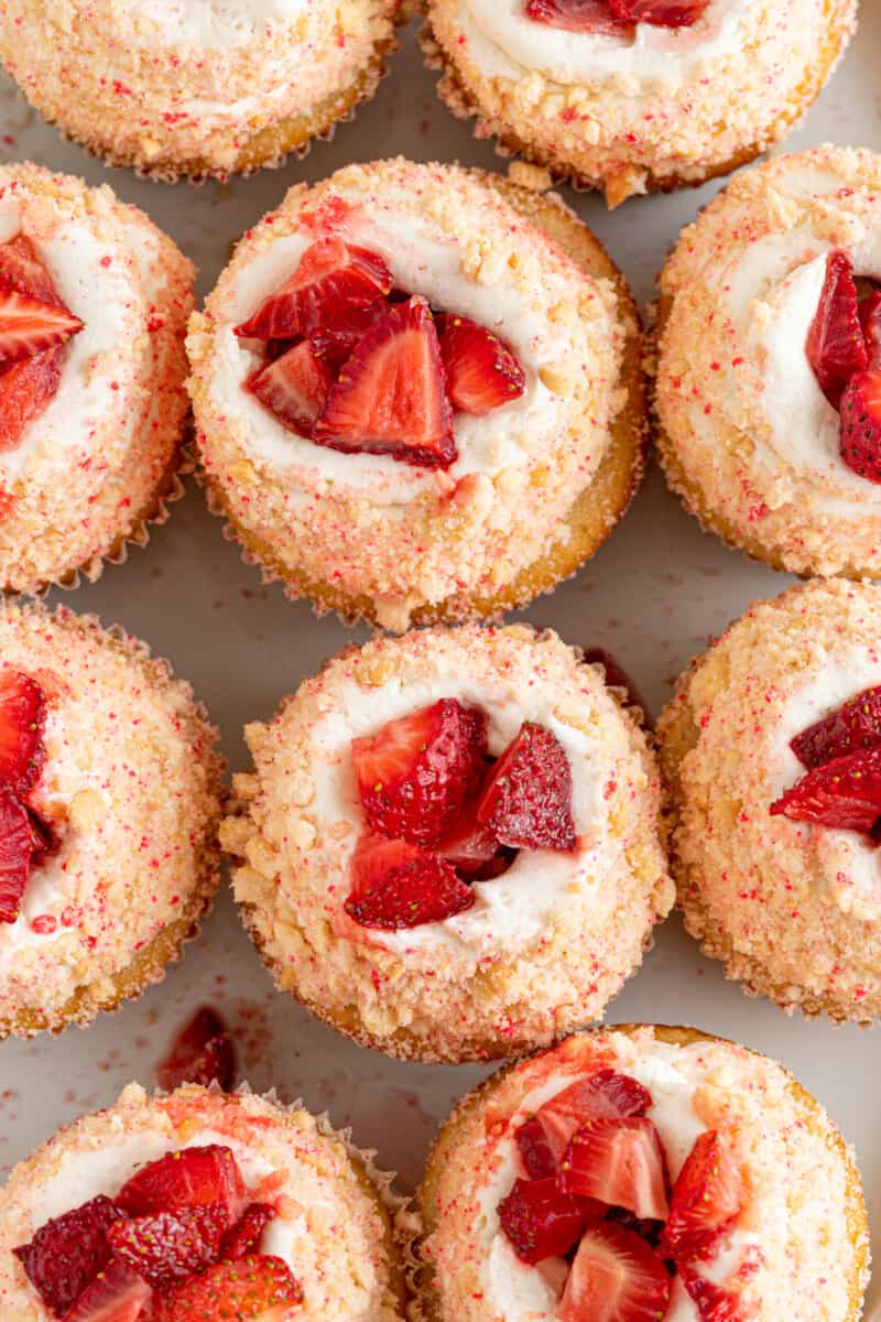 overhead view of strawberry shortcake cupcakes.