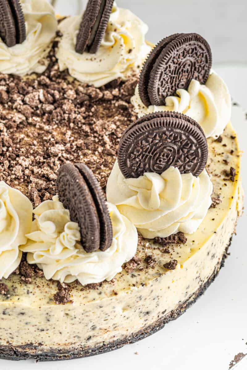 close up of cookies and cream cheesecake.
