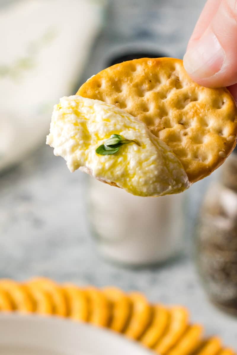 a hand holding a cracker dipped in homemade ricotta cheese.