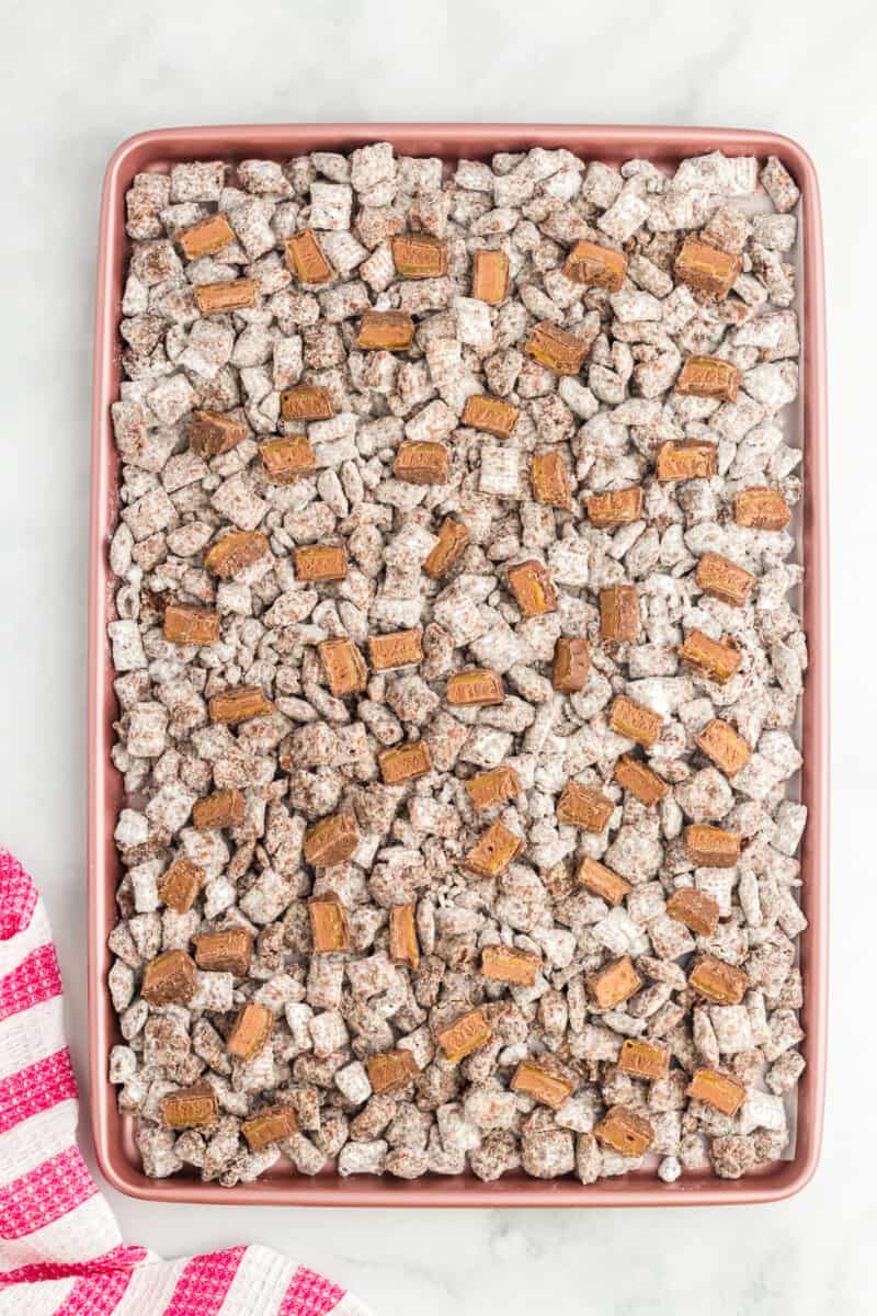 puppy chow spread out on a baking tray, with chocolate caramels dotted throughout