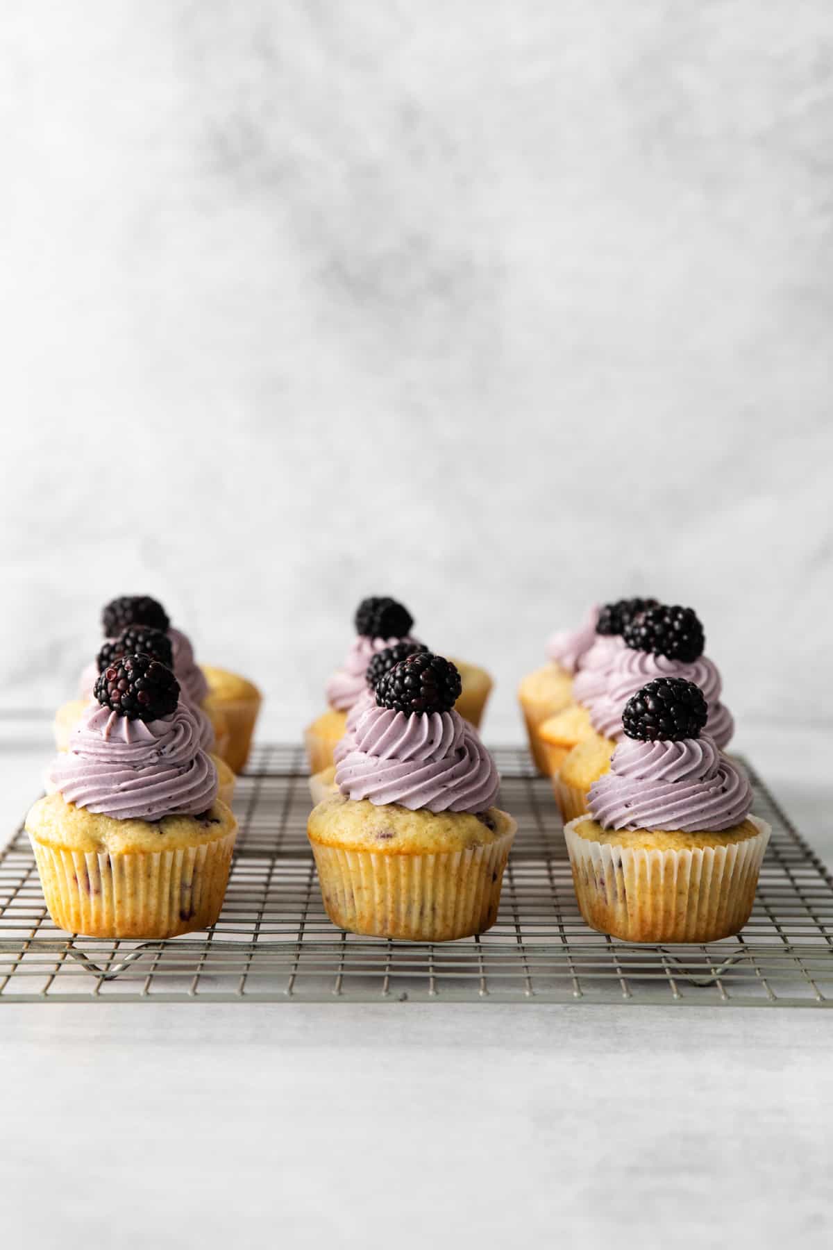 blackberry cupcakes lined up on a cooling rack