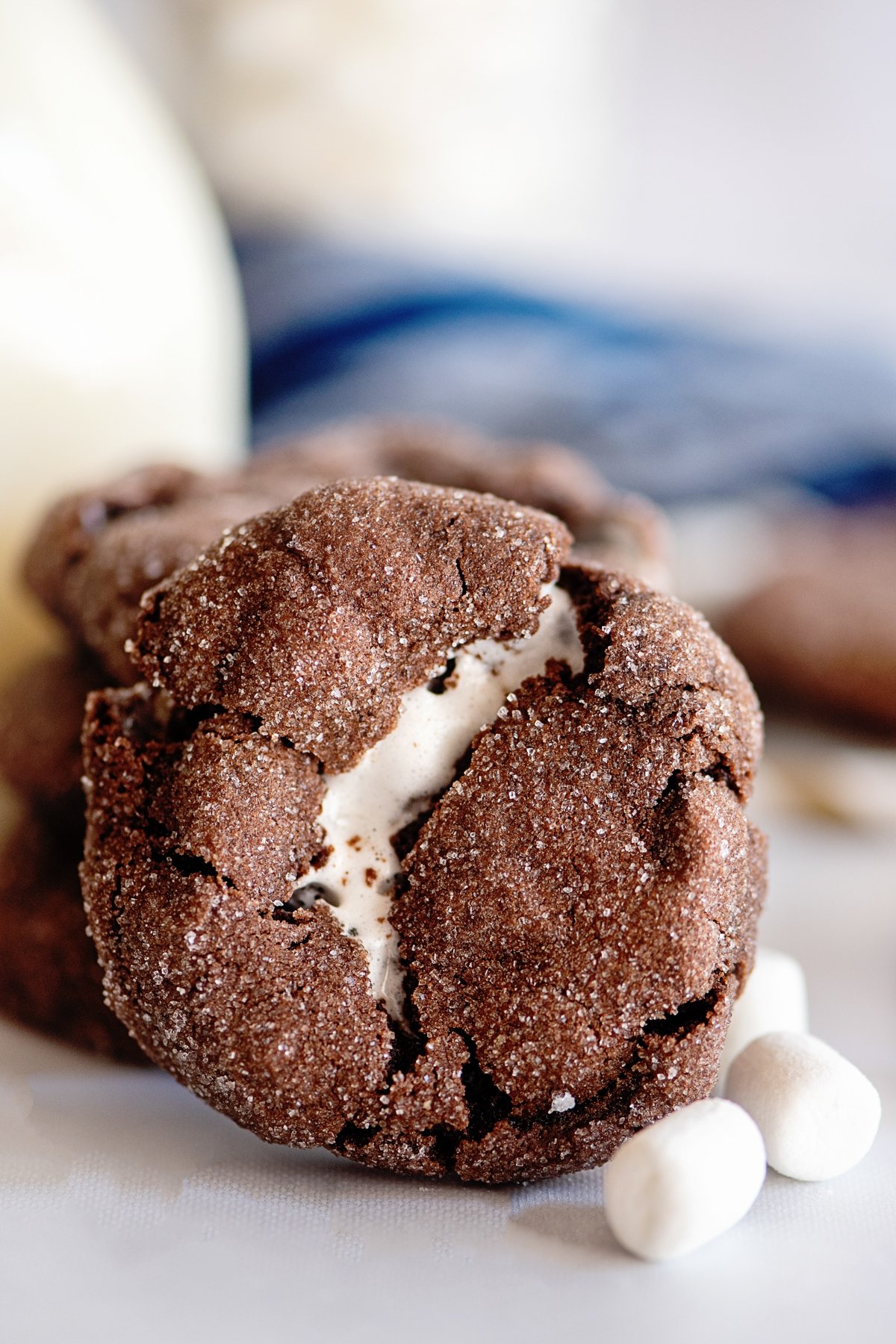 chocolate marshmallow cookie