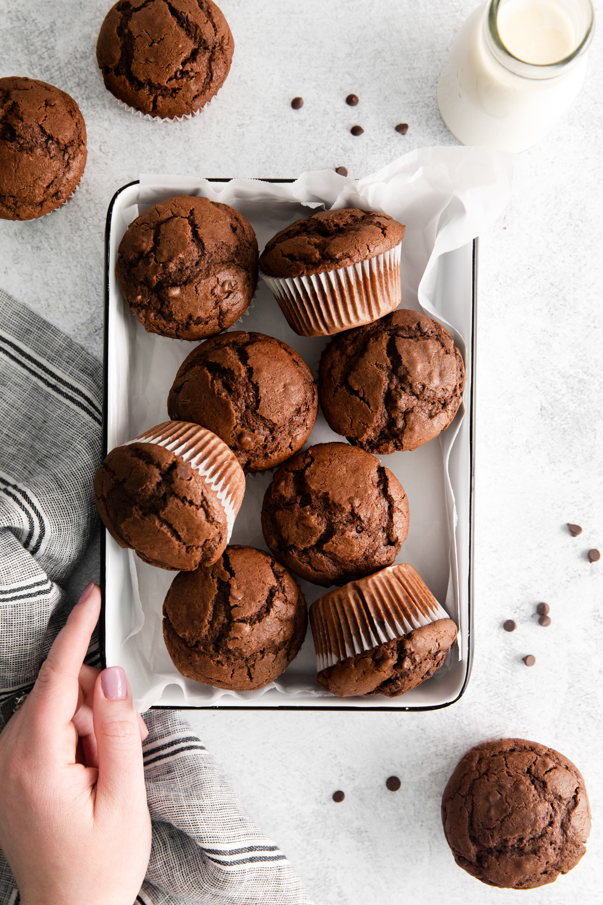 tray of double chocolate muffins