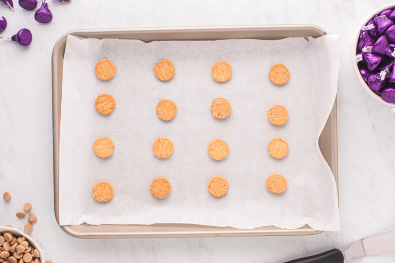 cookie pieces lined up on a tray