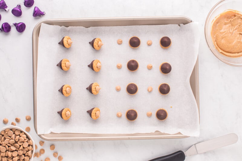 acorn cookies lined up on a baking sheet