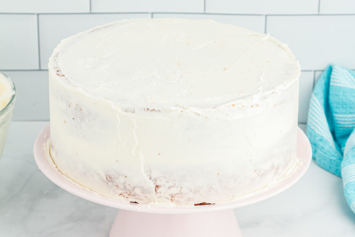 side view of crumb coated airplane cake on a white cake stand.