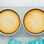 overhead view of baked airplane cakes in cake pans.